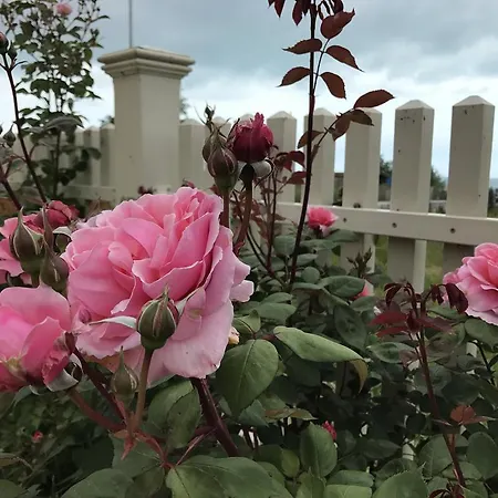 Livia Boutique Apartmanhotel